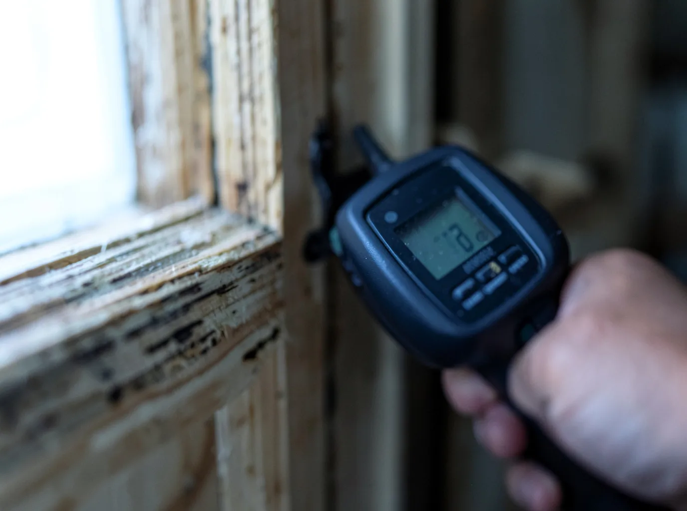 Moisture Inspection And Documentation in Vowinckel, PA